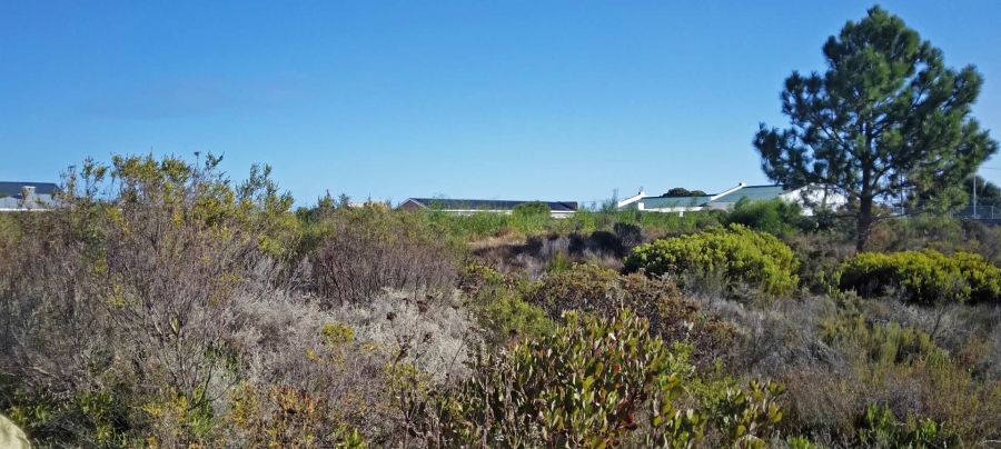 0 Bedroom Property for Sale in Fisherhaven Western Cape